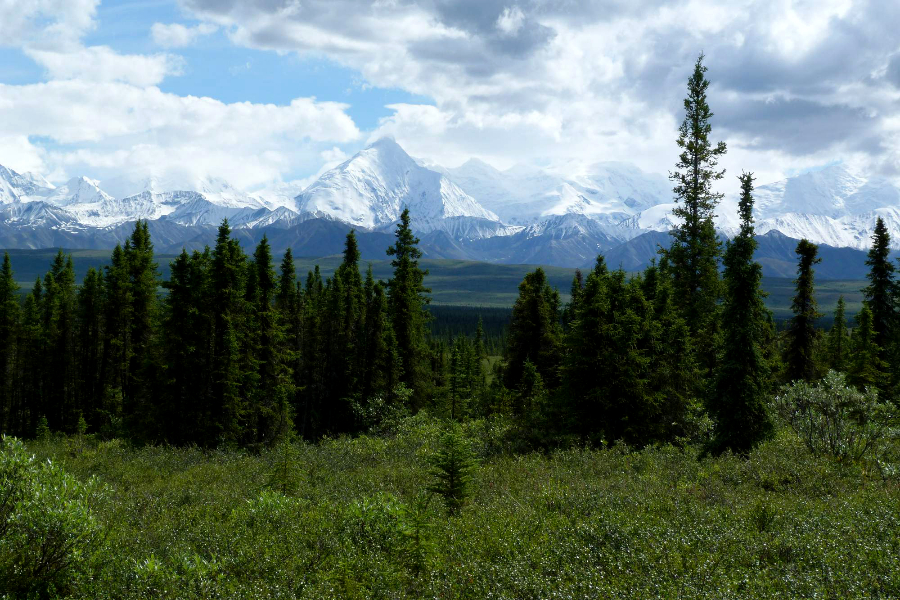 p1040566