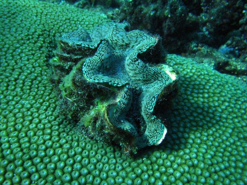 P1030564