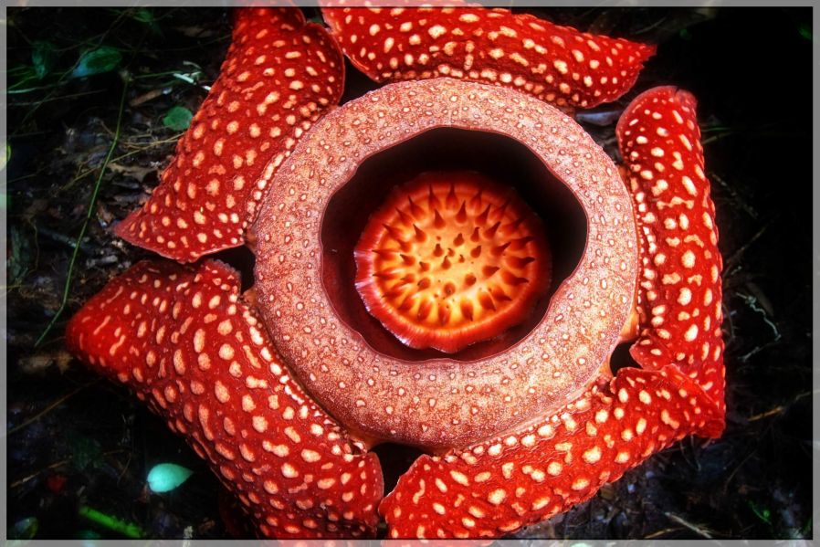 019