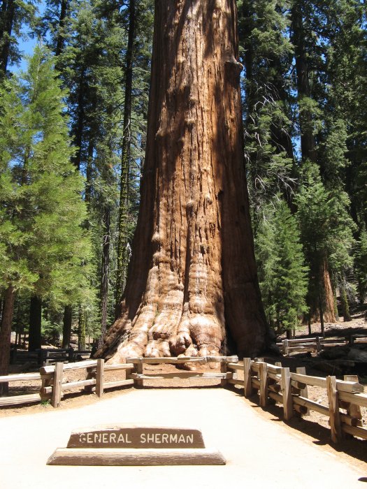 usa018