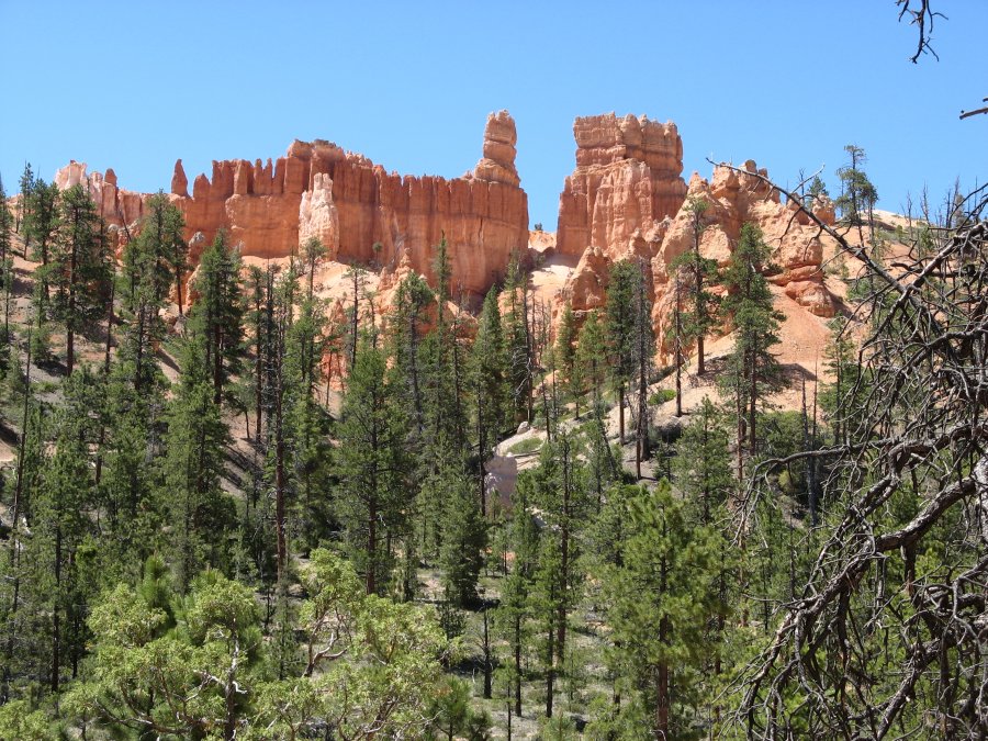 usa081