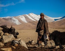 MONGOLSKO