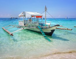 FILIPÍNY (Luzon, Bohol)