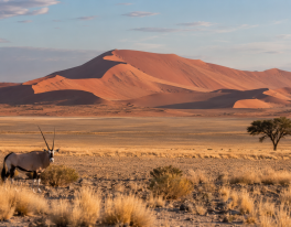 NAMIBIE – diamant černé Afriky