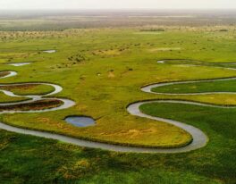 TOP JIŽNÍ AFRIKA (Chobe, Okavango, Viktoriiny vodopády, Kapské Město)