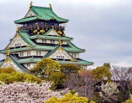 Velikonoční rozkvetlé Japonsko – sakury